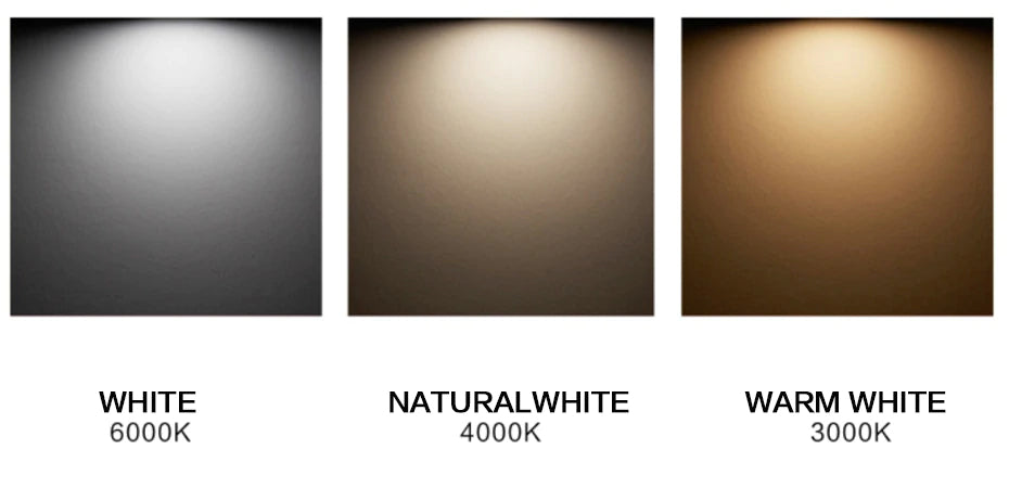 Adjustable LED Downlight For Foyer or Kitchen Island by Lightstyl