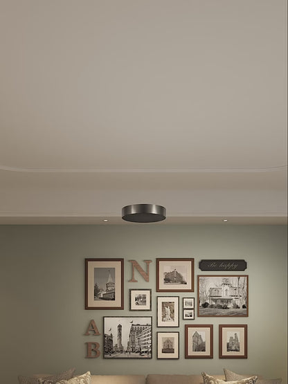 The Raetur - Ceiling Fixture